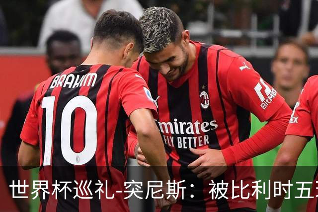 世界杯巡礼-突尼斯：被比利时五球“羞辱”，迦太基之鹰前途难测